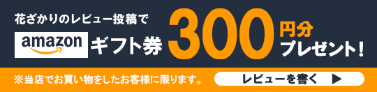 Amazonギフト券を 300円分プレゼント！