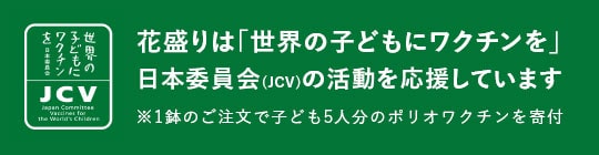 JCV