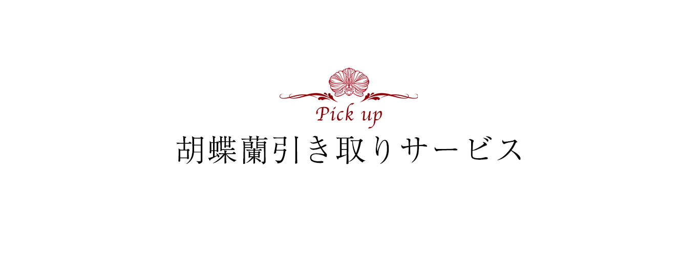 胡蝶蘭引き取りサービス