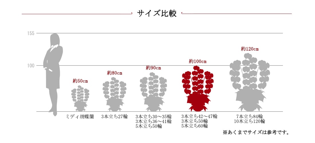 胡蝶蘭サイズ比較