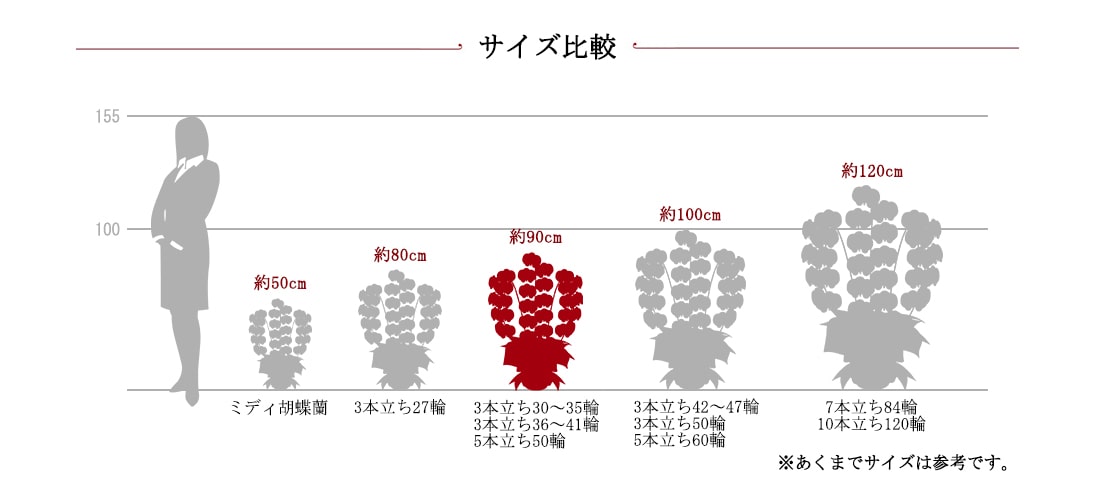 胡蝶蘭サイズ比較