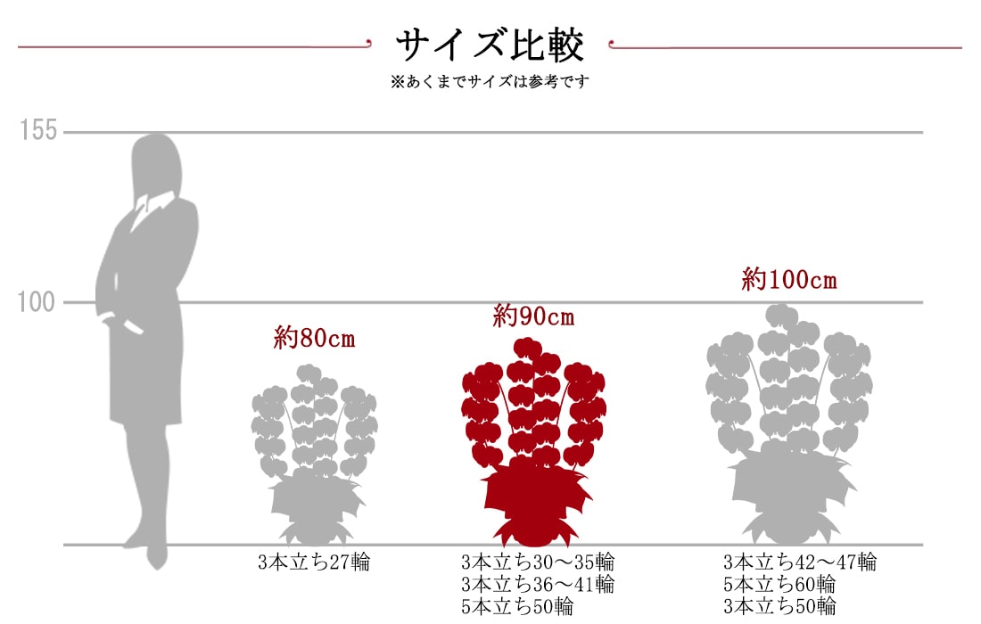 胡蝶蘭サイズ比較